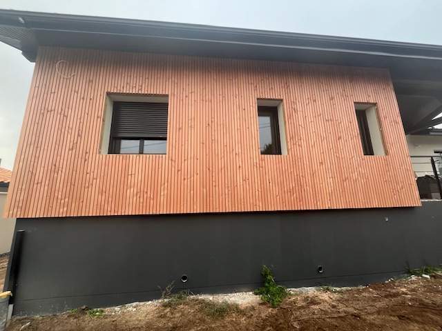 IMG 1886