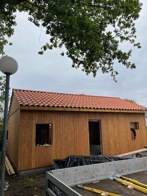 IMG 1201